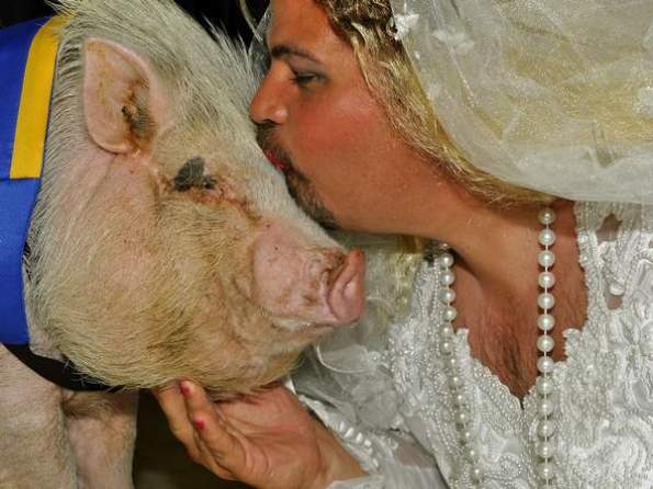 wedding-dress-man-pig